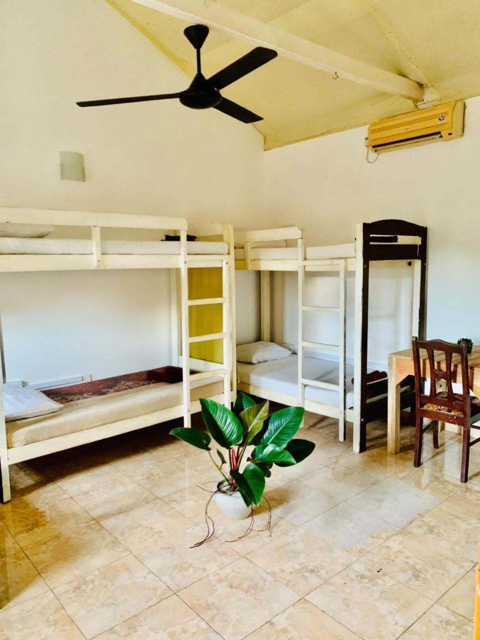 Dreamy Surf House Hotel Weligama Eksteriør billede